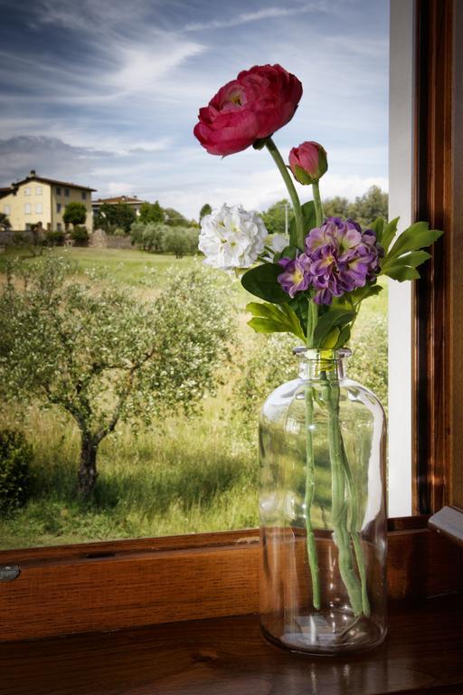 Agriturismo Ai Linchi Lucca Bagian luar foto